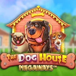 The Dog House Megaways slot icon by Pragmatic Play, available at Spinsino Casino